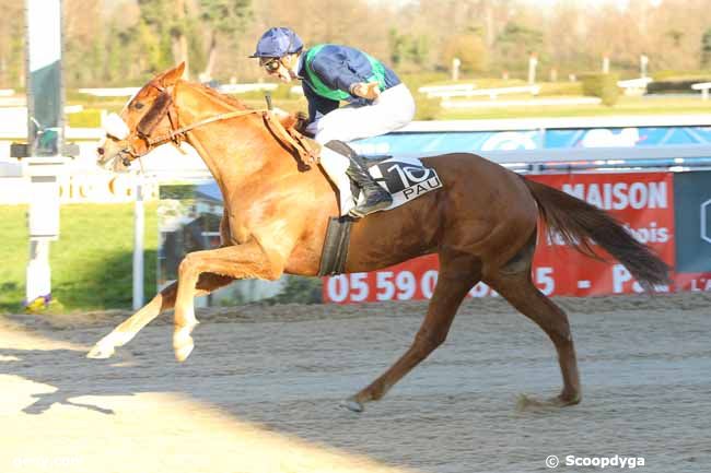 21/12/2016 - Pau - Prix d'Arudy : Ankunft