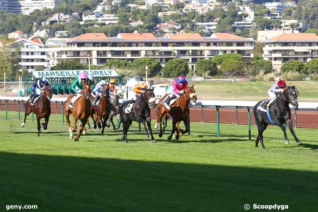 30/10/2017 - Marseille-Borély - Prix Twig : Arrivée