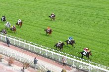 18/10/2025 - Auteuil - Prix le Parisien (Prix du Prince d'Ecouen) : Arrivée