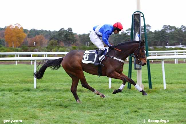 26/11/2019 - Fontainebleau - Grande Course de Haies de Fontainebleau : Arrivée