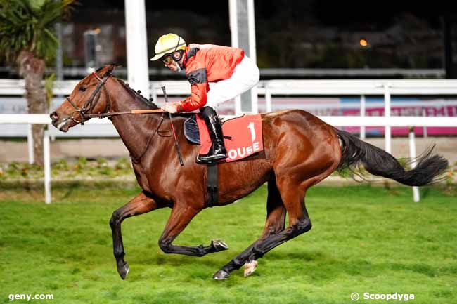 11/11/2020 - Toulouse - Grand National des Anglo-Arabes à 12.5 % : Ankunft