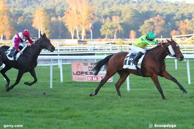 12/11/2021 - Fontainebleau - Prix des Frênes : Arrivée