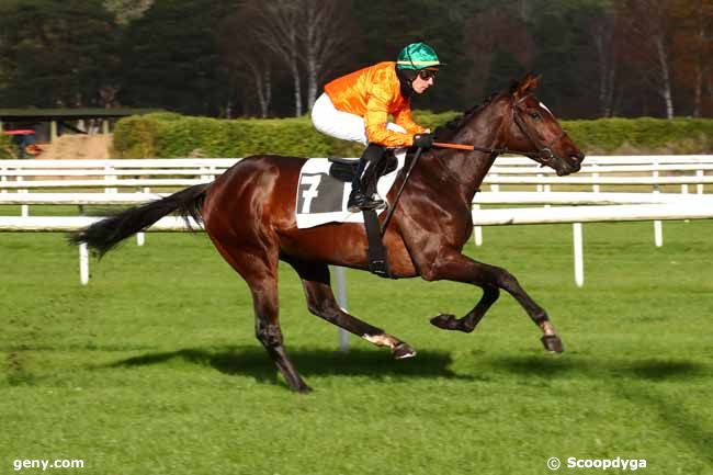 25/11/2023 - Fontainebleau - Prix Yves Saint-Martin (prix du Mont Pierreux) : Arrivée