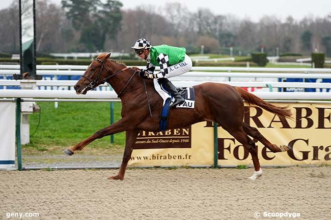 19/12/2023 - Pau - Prix de Bilhères : Arrivée