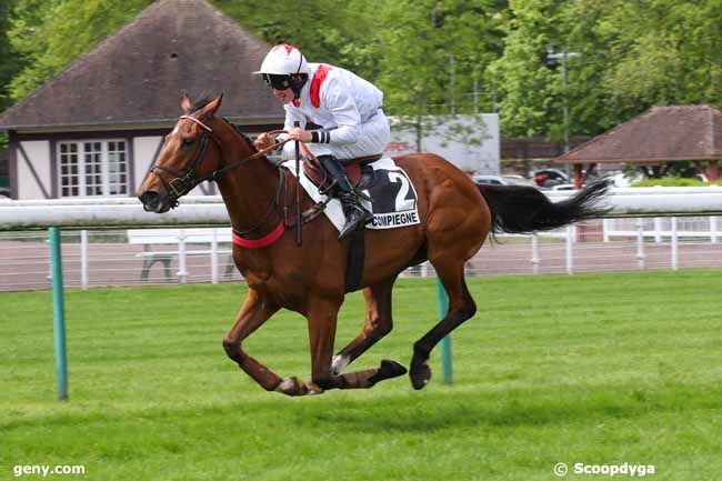 07/05/2024 - Compiègne - Prix du Morbihan : Arrivée