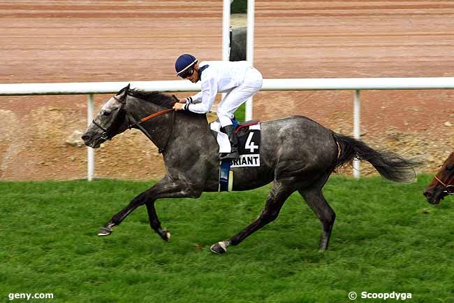 13/07/2009 - Châteaubriant - Prix des Régions Bretagne et Pays de Loire : Ankunft