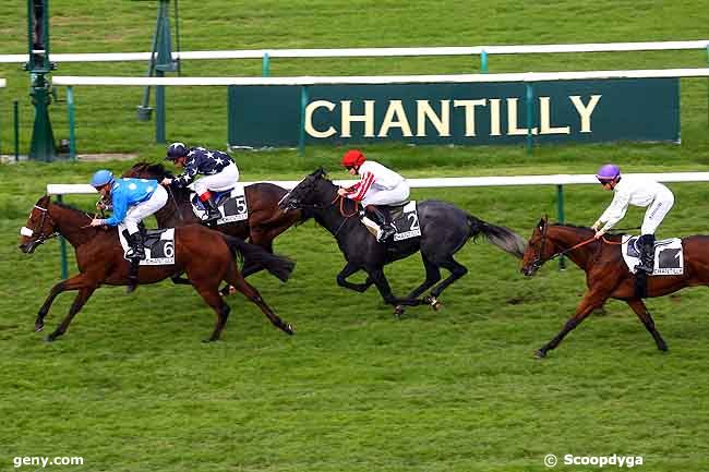 15/10/2009 - Chantilly - Prix de la Maniguette : Arrivée