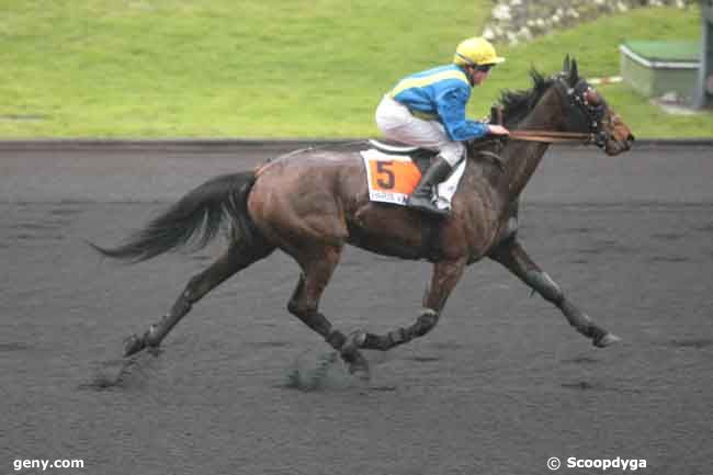 24/01/2011 - Vincennes - Prix de Montfort : Arrivée