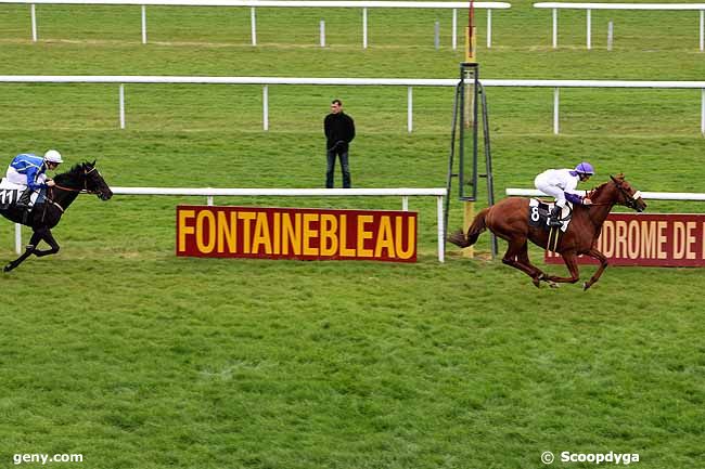 27/04/2012 - Fontainebleau - Prix des Hauteurs de la Solle : Ankunft