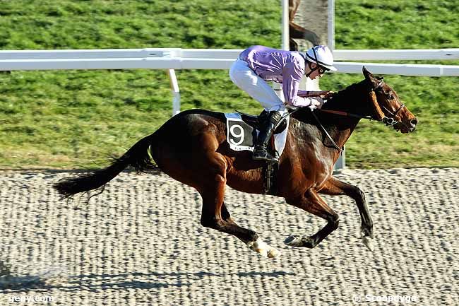 22/01/2013 - Cagnes-sur-Mer - Prix de la Croix des Gardes : Arrivée