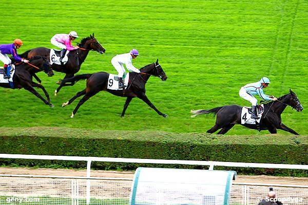 19/09/2013 - Saint-Cloud - Prix My Love : Arrivée