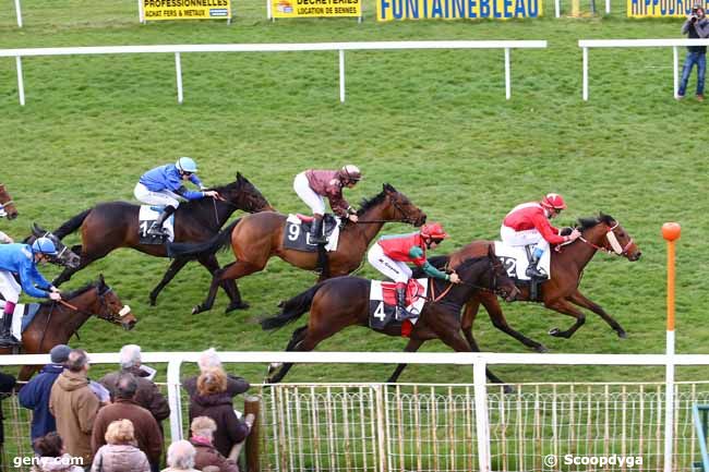 24/03/2014 - Fontainebleau - Prix des Ifs : Arrivée