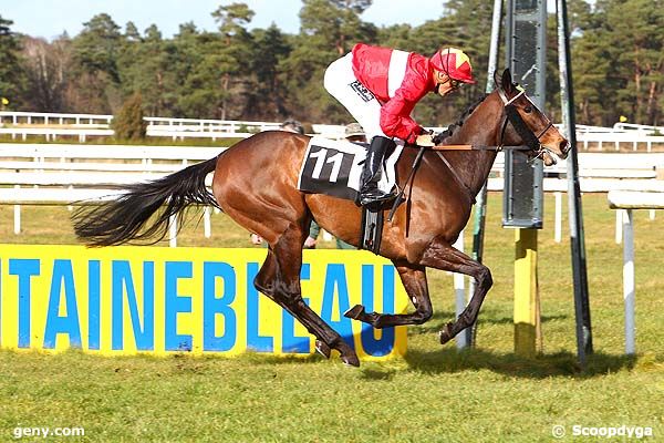 04/03/2015 - Fontainebleau - Prix du Haras de Montgermont : Arrivée