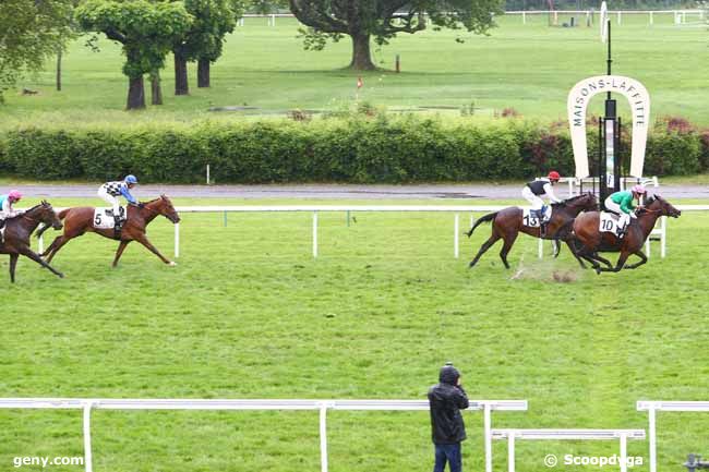 30/05/2016 - Maisons-Laffitte - Prix Soleil : Arrivée