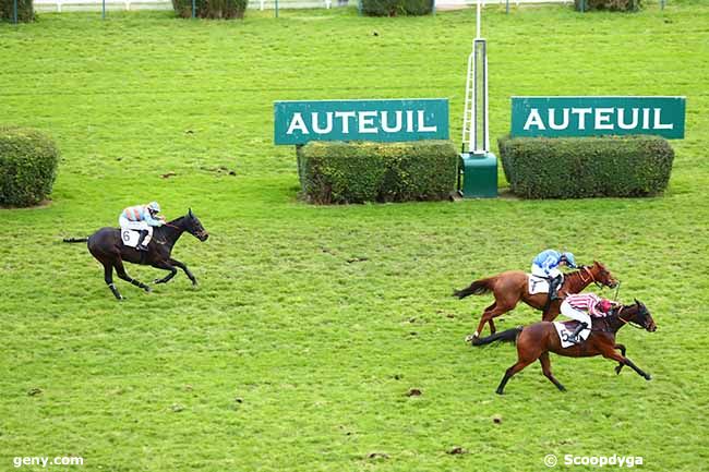 24/11/2019 - Auteuil - Prix Georges Courtois : Arrivée