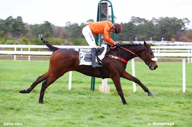 26/11/2019 - Fontainebleau - Prix de la Grotte des Ermites : Arrivée