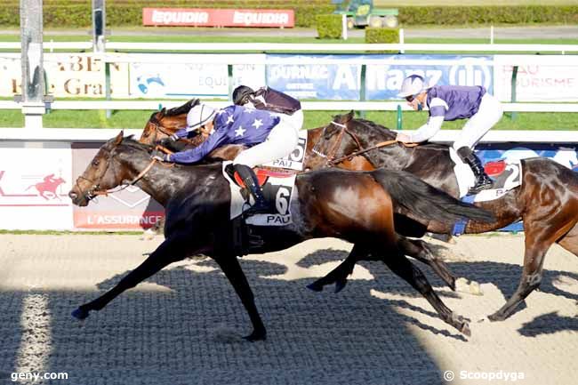 15/12/2020 - Pau - Prix de Pau Béarn Pyrénées : Arrivée