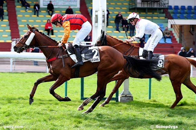 14/03/2023 - Compiègne - Prix du Carrefour de l'Obélisque : Arrivée