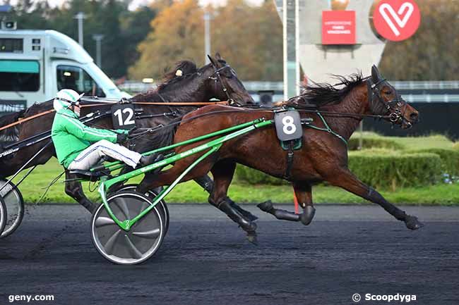 07/11/2023 - Vincennes - Prix Aurora : Arrivée