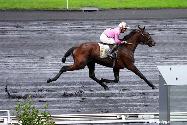 04/12/2023 - Vincennes - Prix de Marans : Arrivée