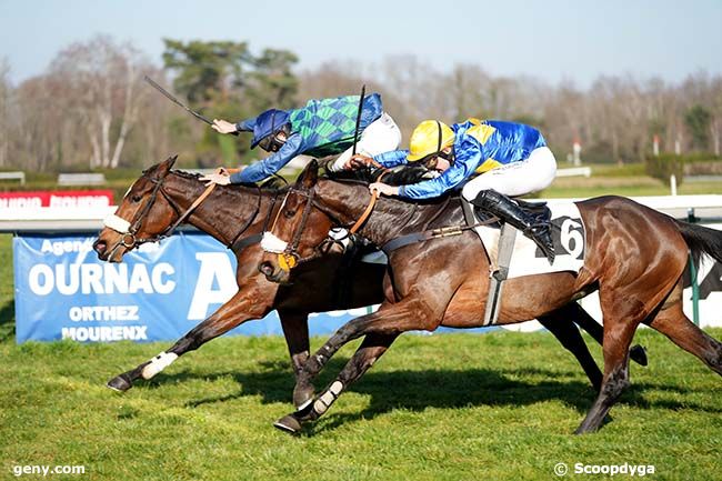 31/01/2024 - Pau - Prix de Gramont : Arrivée