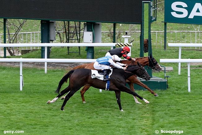 09/09/2024 - Saint-Cloud - Prix Topyo : Arrivée