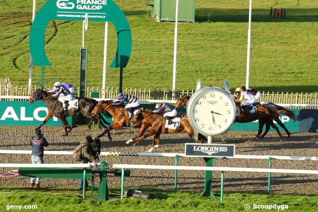 22/11/2024 - Chantilly - Prix des Falaises des Vaches Noires : Result