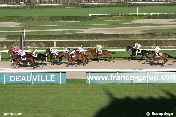 12/11/2007 - Deauville - Prix de la Fontaine Bretocq : Arrivée