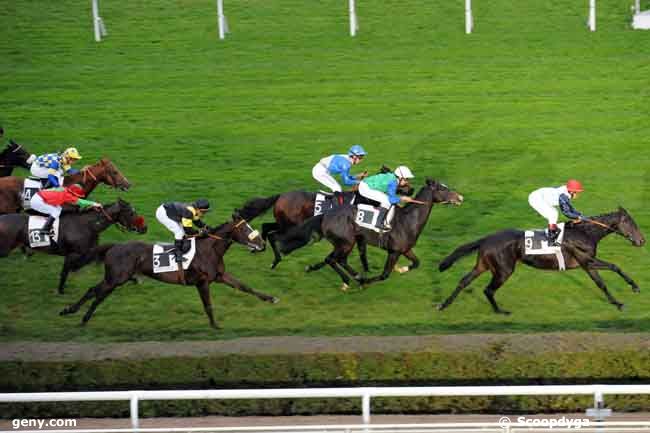 02/11/2008 - Saint-Cloud - Prix du Charolais : Arrivée