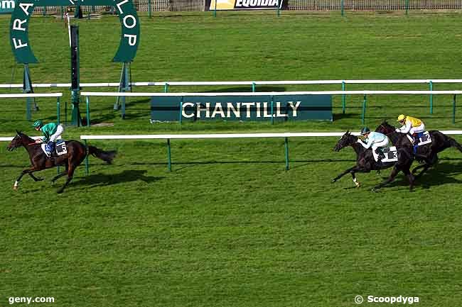 15/10/2009 - Chantilly - Prix de la Forterelle : Arrivée