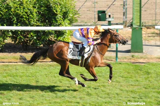 25/05/2011 - Chantilly - Prix des Côtes d'Orléans : Arrivée