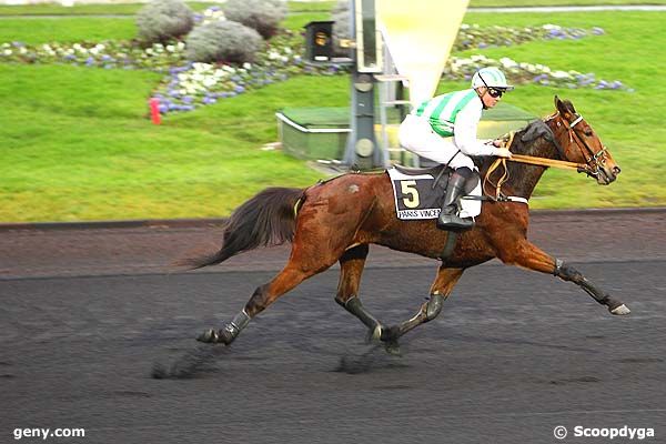 28/12/2012 - Vincennes - Prix de Beaumont-de-Lomagne : Ankunft