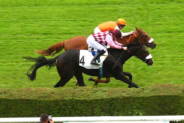 15/10/2014 - Saint-Cloud - Prix Boxing Day : Arrivée