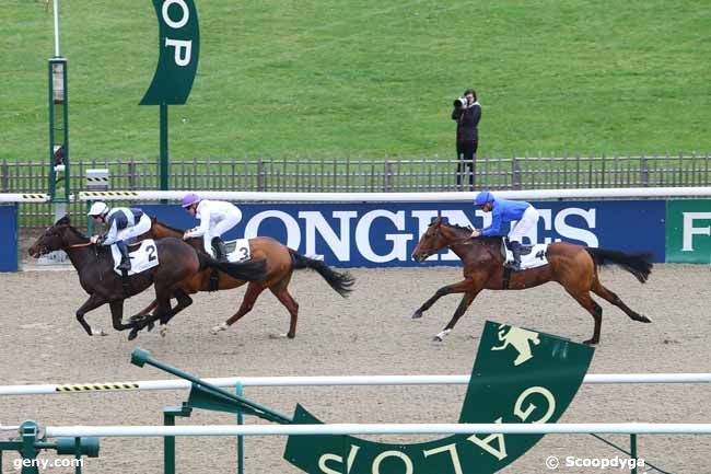 06/11/2015 - Chantilly - Prix des Courtils : Arrivée