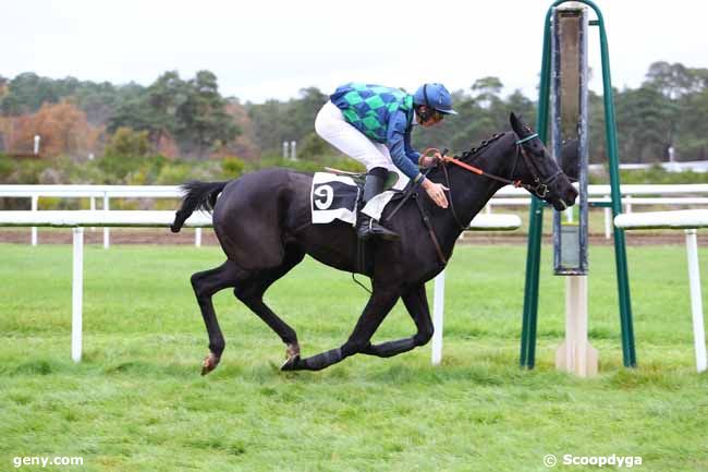 26/11/2019 - Fontainebleau - Grand Steeple-Chase de la Solle - Prix Compagnie les Arlequins : Result