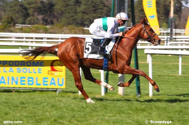 16/04/2022 - Fontainebleau - Prix de la Malmontagne : Arrivée