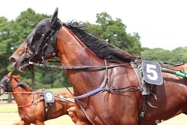 11/07/2023 - Châteaubriant - Prix As Royal : Arrivée