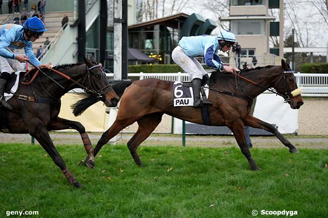 19/12/2023 - Pau - Prix Abel Ramon Diago : Arrivée