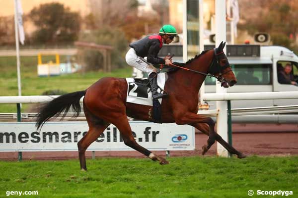 27/02/2024 - Marseille-Borély - Prix de Saint-Loup : Arrivée