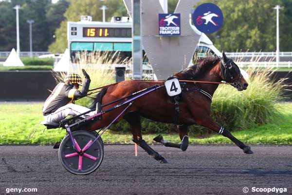 01/10/2024 - Vincennes - Prix Guericke : Arrivée