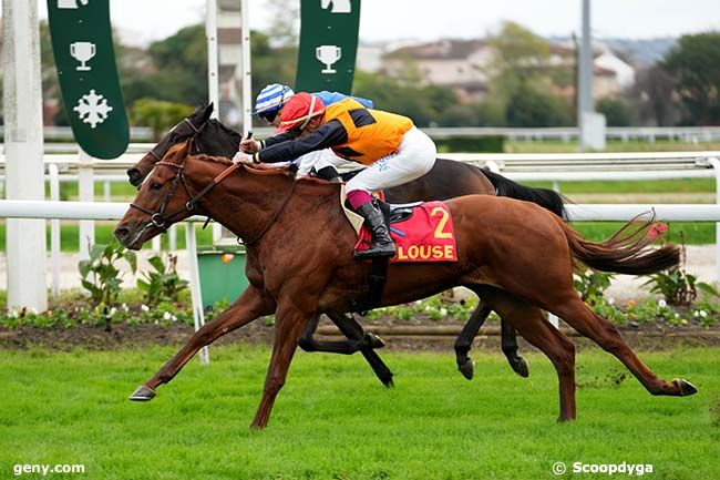 11/11/2024 - Toulouse - Critérium du Languedoc - Prix Bernard de Marmiesse : Arrivée