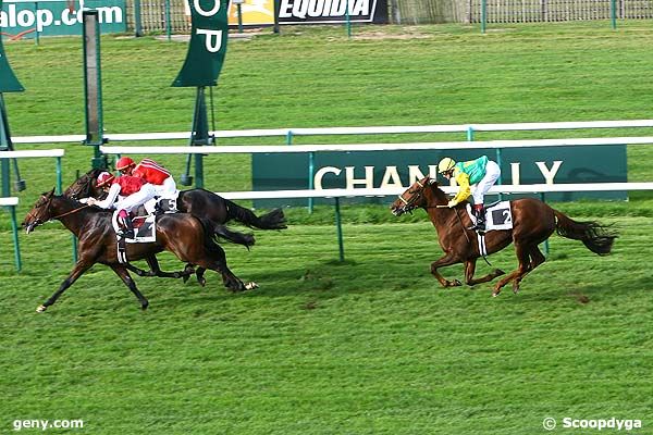 16/10/2008 - Chantilly - Prix du Grand Cerf : Arrivée