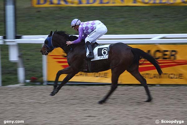 23/01/2009 - Pau - Prix de Rontignon : Arrivée