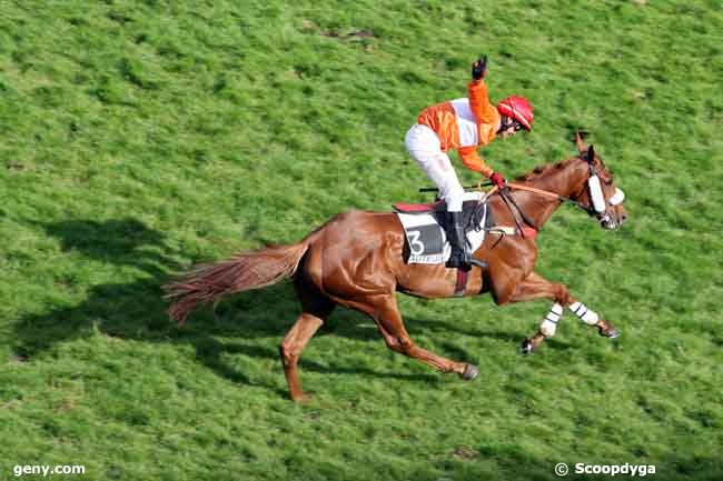 08/05/2011 - Auteuil - Prix Ex Voto : Ankunft