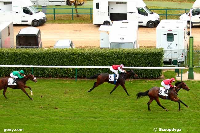 03/11/2014 - Chantilly - Prix du Plessis Luzarches : Result