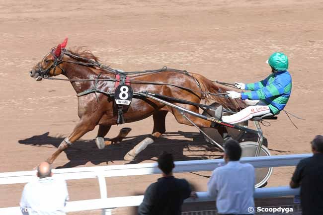 22/06/2016 - Reims - Prix le Café des Sportifs - Reims : Arrivée