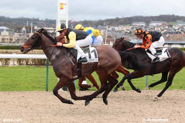 01/03/2017 - Deauville - Prix du Cap de la Hague : Arrivée