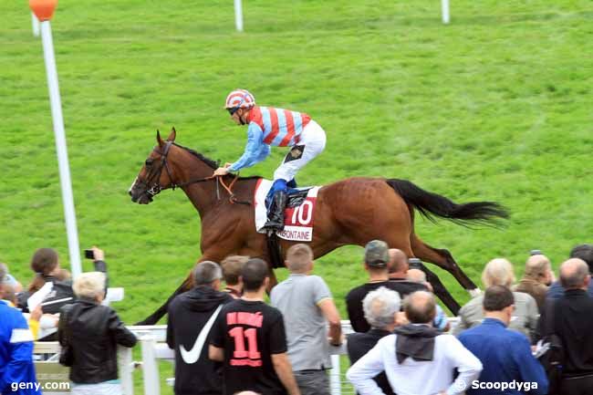 03/08/2017 - Clairefontaine-Deauville - Prix Pâturages : Ankunft