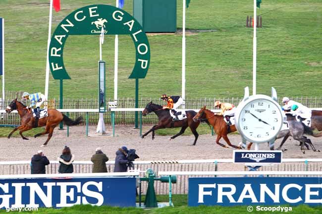 26/01/2018 - Chantilly - Prix de la Route de l'Angle : Arrivée