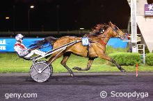 16/05/2025 - Vincennes - Prix Fomalhaut: Arrivée